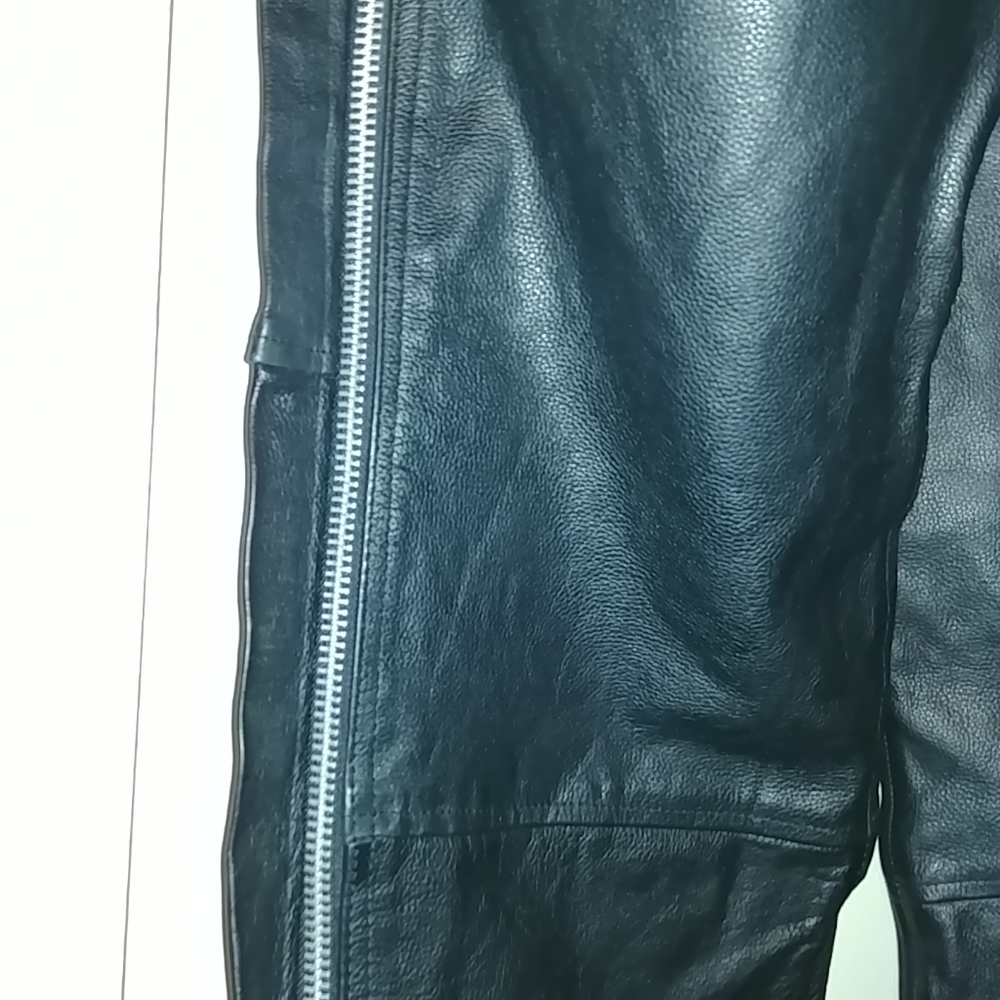 Leather Chaps - image 2